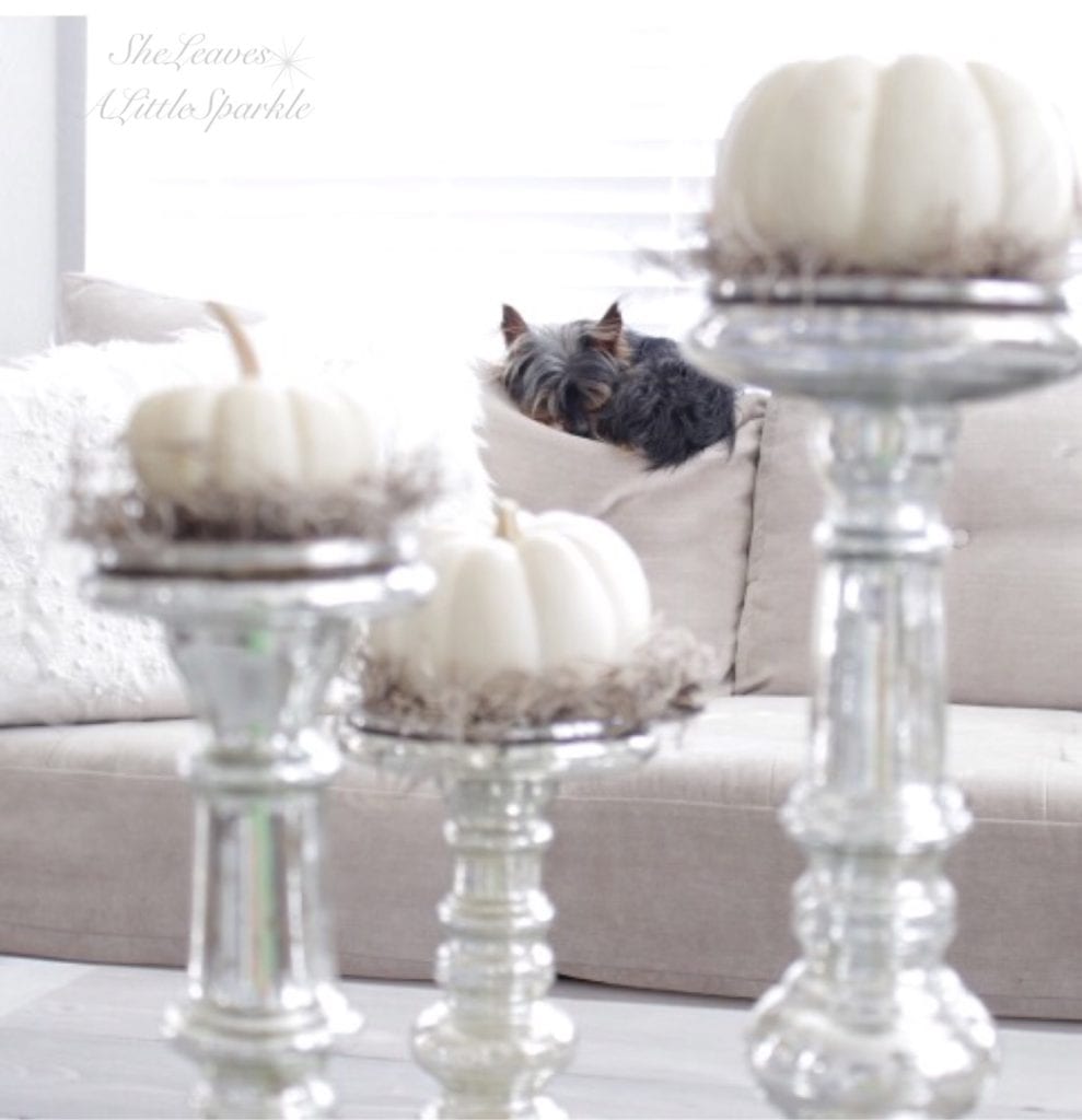styling a coffee table bloggers tour blog hop