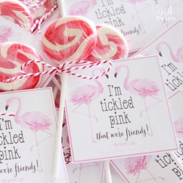 I’m Tickled Pink – Flamingo Valentine