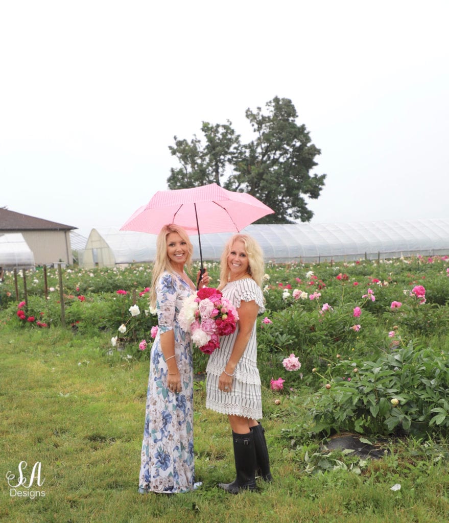 pure peonies farm washington