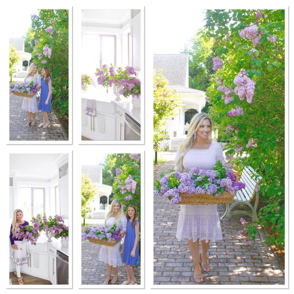 summer adams designs lilacs, lilac flower arrangements, Fresh lilacs, hulda klager lilac gardens woodland washington