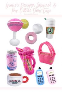 The Most Fabulous Girl Dog Essentials Accessories 1 1 Summer Adams