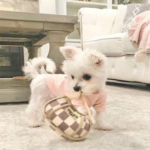 chewnel chanel puppy pawbag handbag