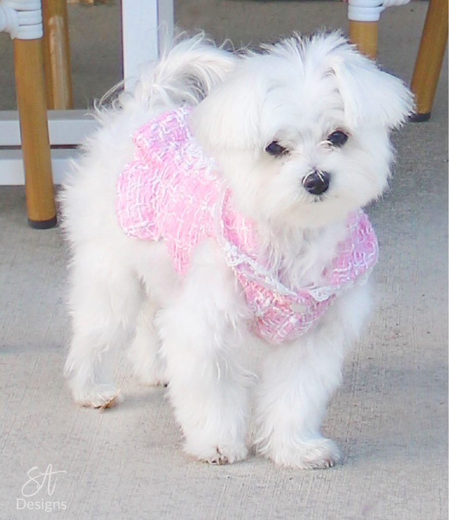 Chanel inspired puppy dog pink clothing