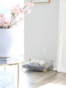 acrylic lucite brass glam puppy dog bed