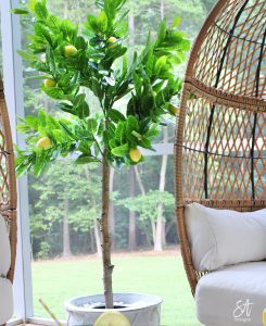 patio furniture, entertaining outdoors, lemons, Walmart, lemon plant, lemon tree, egg chairs, opal house marble round coffee table, rattan furniture, better homes and gardens furniture, hangout spot for teens, trendy furniture, South Carolina blogger