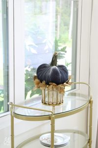 blue velvet pumpkin, hot skwash, mirrored cache pot